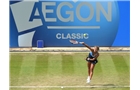 BIRMINGHAM, ENGLAND - JUNE 14: Barbora Zahlavova Strycova of Czech Republic in action against Casey Dellacqua of Australia on day six of the Aegon Classic at Edgbaston Priory Club on June 13, 2014 in Birmingham, England. (Photo by Tom Dulat/Getty Images)